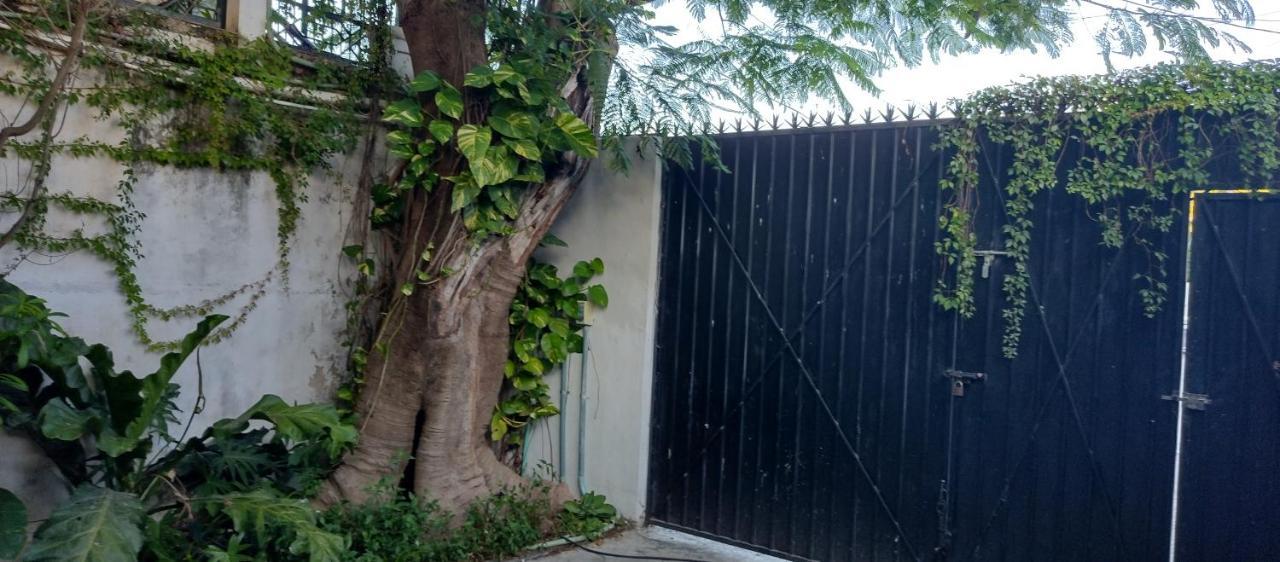 Estudio Zona Centro Cerca De La Terminal Ado แคนคูน ภายนอก รูปภาพ
